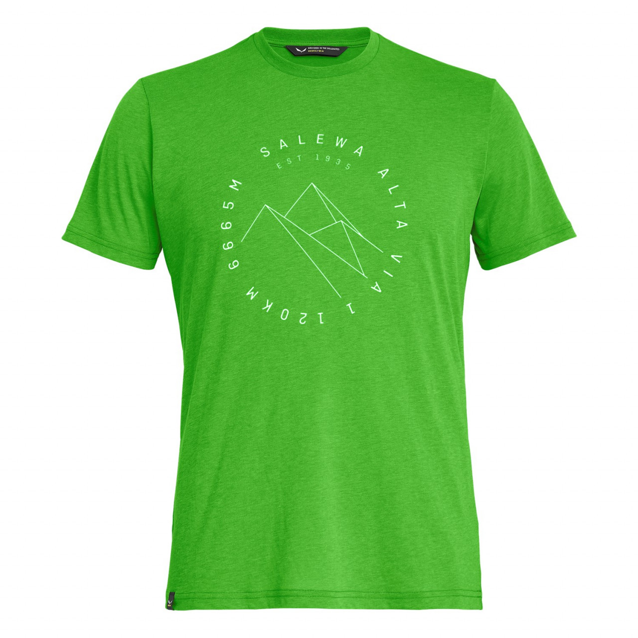 T-Shirts Salewa Alta Via Drirelease® Homem Verdes 812WQCBNA